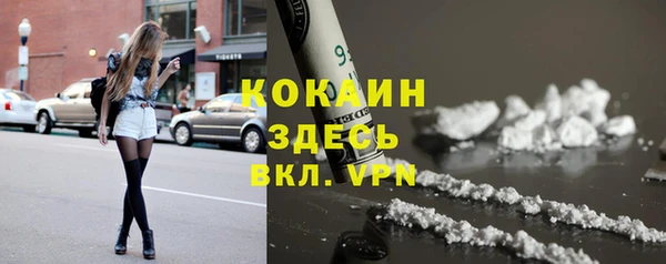 spice Алексин