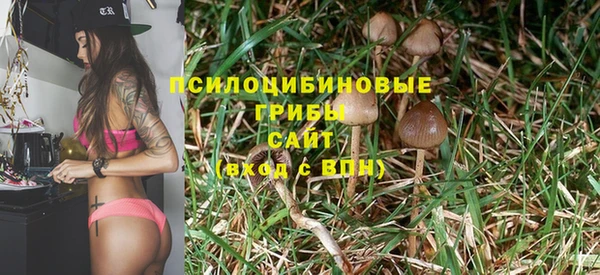 mdpv Алзамай